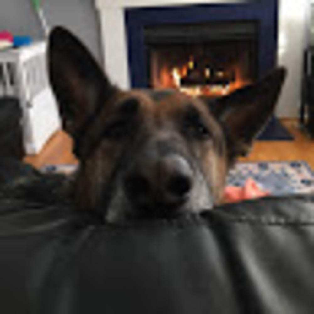 Meet your Posher, Sam